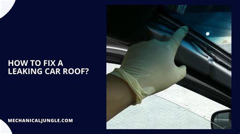 car roof leak repair|Car Roof Leak Repair: How To Locate And Fix Leaks